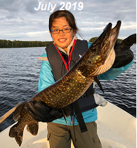 Pike fishing on Lake Saimaa